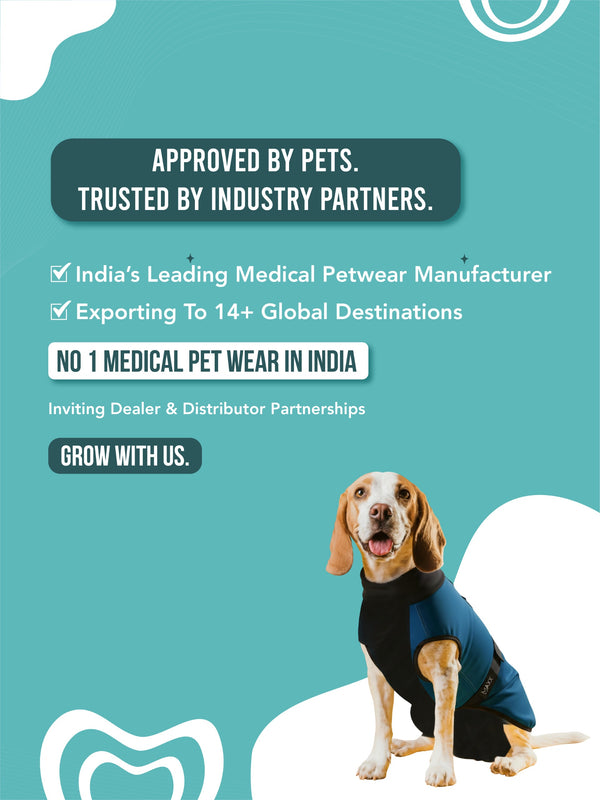 main-mobile-banner