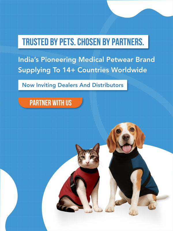 main-mobile-banner